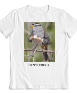 Альтернативний вигляд Gentlebird