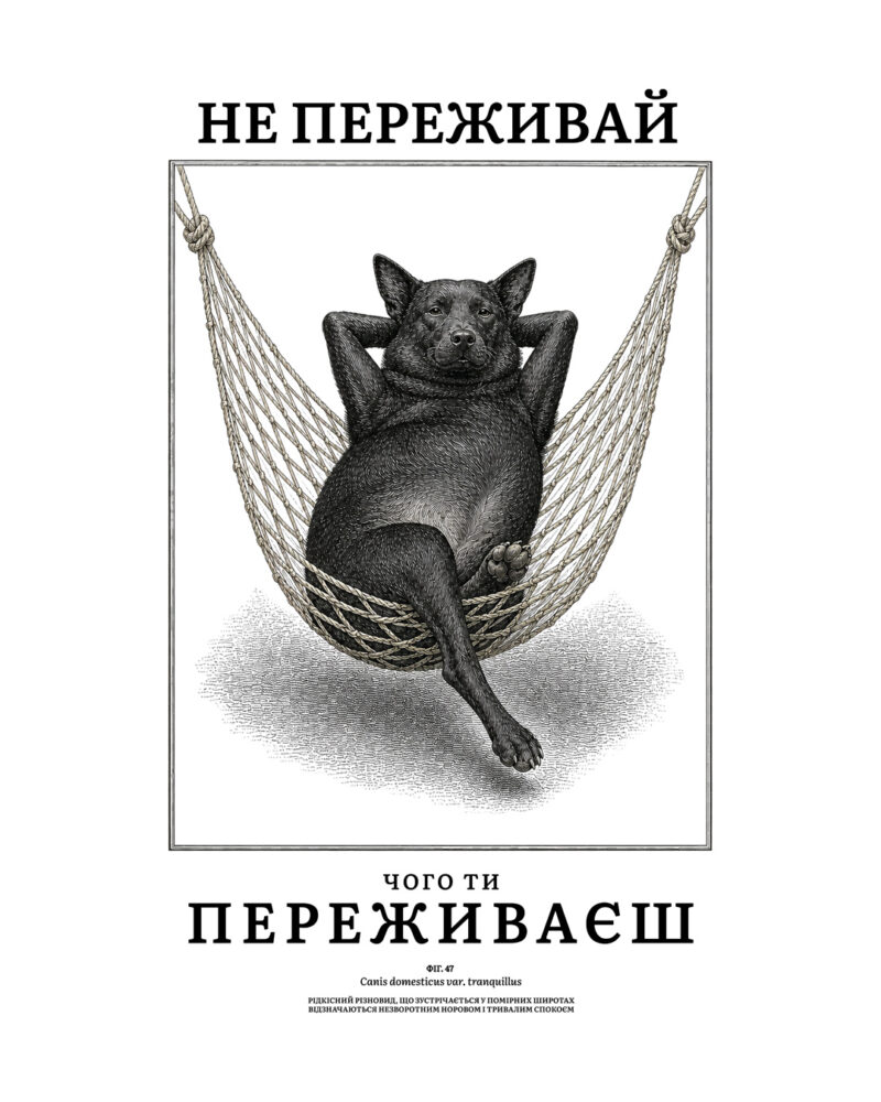 Не переживай - Зображення 4